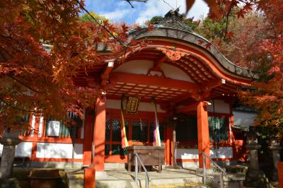 秋の南都で寺社巡りと紅葉狩り（奈良市）