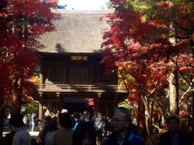 平林禅寺 街歩き