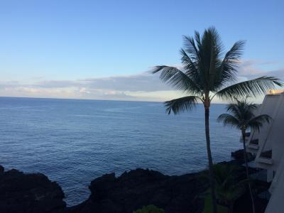 初のハワイ島　感動の毎日　２日目