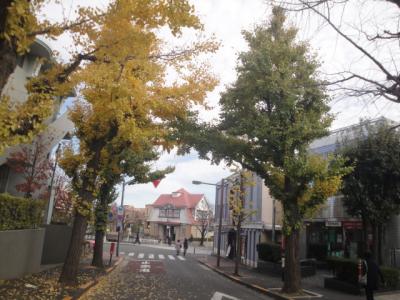 田園調布　銀杏並木　　　ふるさとの浜辺公園　を回る