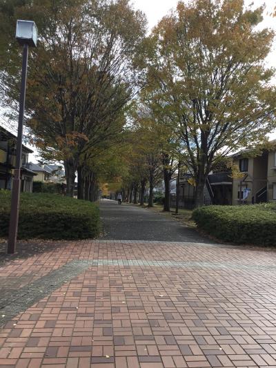 緑区おゆみ野 四季の道