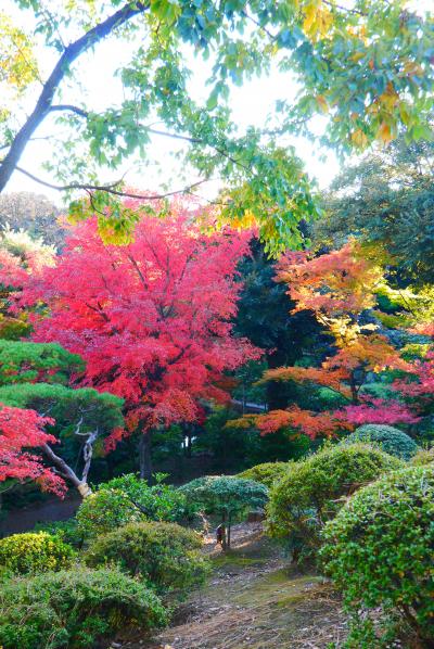 旧古河庭園と、谷根千散歩。