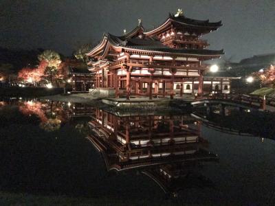 三姉妹 着物で秋の平等院