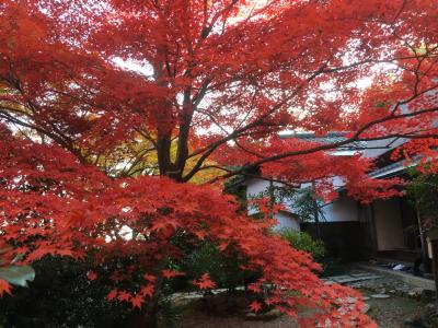 2017年　秋の京都　直指庵へ