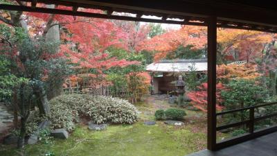 京都西山三山と妙心寺で紅葉をめでる