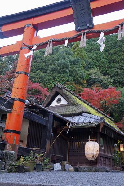 そうだ、法事にいこう。　母を連れて京都へ行き、帰りは姪と「シンデレラエクスプレス」