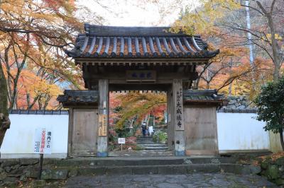 旅するイルカ♪　大阪府岸和田市　大威徳寺紅葉へ