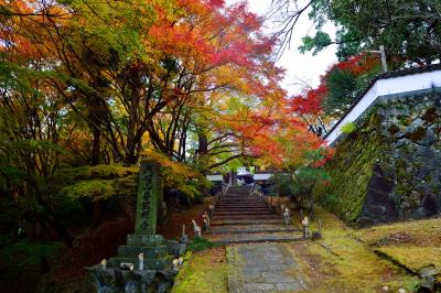 普現寺の紅葉