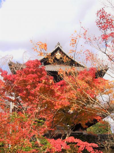 2017年11月２４日　京都紅葉だより　東山から銀閣寺周辺の見所報告②南禅寺・禅林寺編