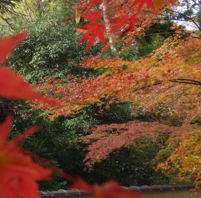 新那智山今熊野観音寺。京都紅葉めぐりの隠れた名所。静かで落ちついたところです。