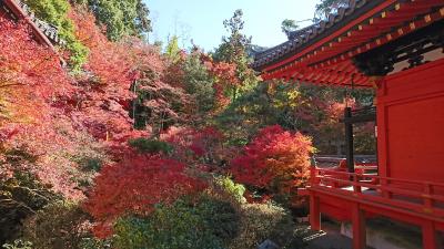 毘沙門堂の紅葉