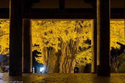 雪と紅葉のコラボの土津神社&ライトアップされた大銀杏の長床