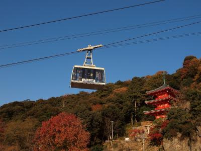 岐阜公園に美しい紅葉を見に行こう！長良川散歩と川原町の町並み　最後は玉宮町で飲み歩こう