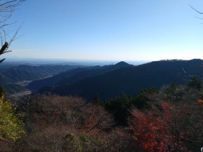 御岳山ハイキング？登山だった。