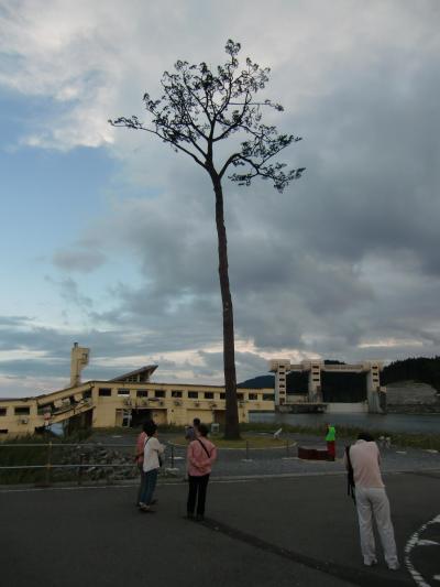 2014北東北フリー切符の旅　目指せ北東北完乗②【次発列車】奇跡の一本松。またもや運休でキューっと一杯