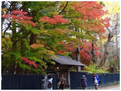 東北紅葉の旅     角館 武家屋敷で紅葉を堪能し花巻温泉郷へ