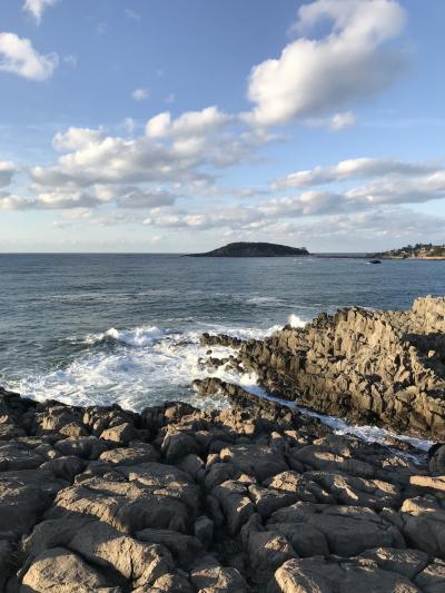 2017秋の旅 福井で恐竜博物館と東尋坊へ行くぞ！