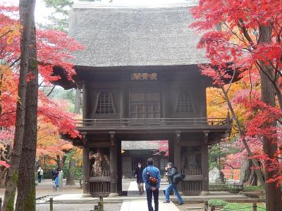 久しぶりに紅葉の平林寺を訪問する①総門～半僧坊感応殿前～放生池～島原の乱供養塔～紅葉山