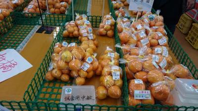 白浜と有田川の旅