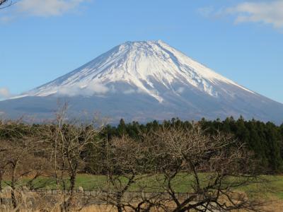 関東紅葉ツアー