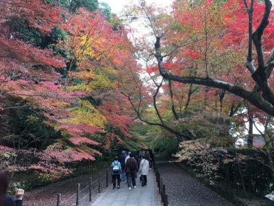 光明寺・長岡天満宮へ紅葉狩り