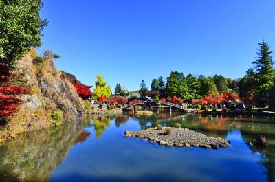 2017紅葉（6）多治見・虎渓山永保寺の秋彩紅葉