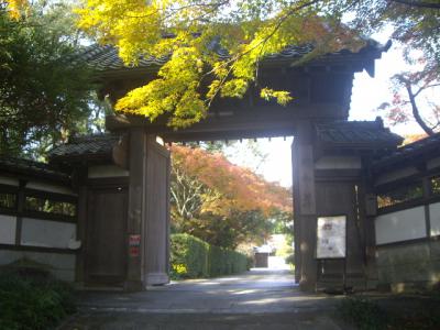 日出の「山を的(あ)てたい」との「的山荘」の大邸宅と日出城下町を散策して