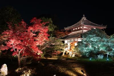 宝厳院、鹿王院夜間特別拝観