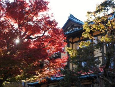 富士屋ホテル ☆ エントランス（11月27日）