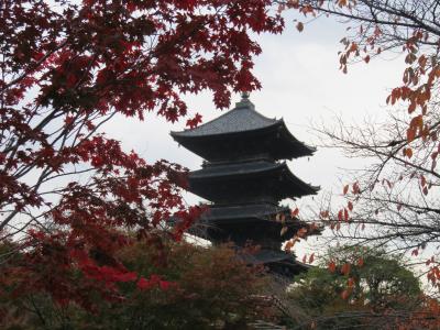 京都の紅葉２０１７～智積院・東寺～
