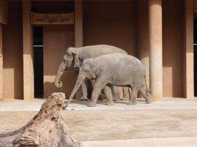 ★東山動物園