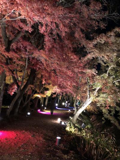 夜の大覚寺を歩いてみた