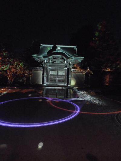 2017年11月２４日　京都紅葉だより　東山から銀閣寺周辺の見所報告④夜の京都をうろうろ。