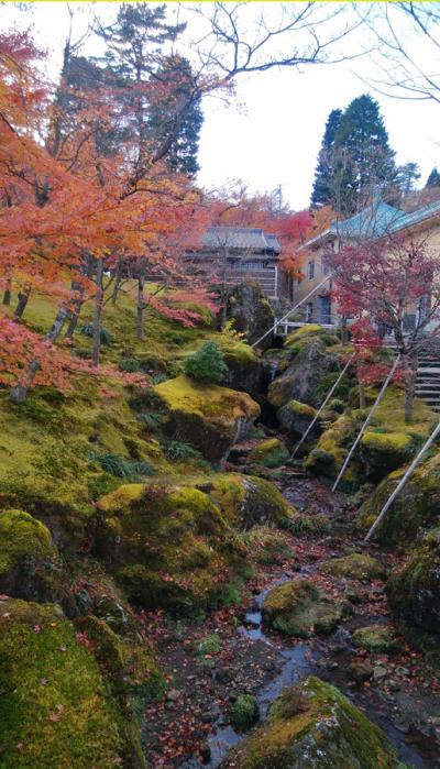 ついに箱根美術館・苔の庭へ