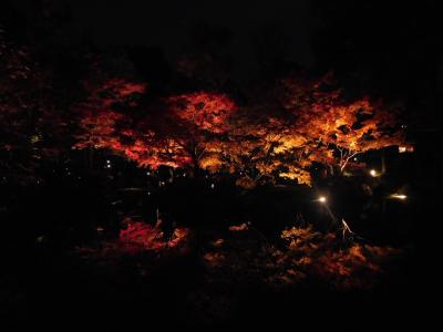 東京２０１７紅葉　【１】大田黒公園
