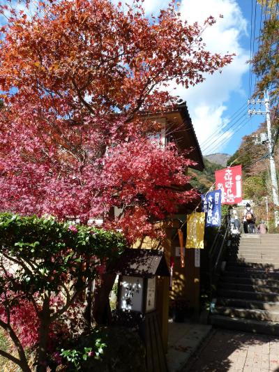 今度の「ご朱印ガール」は錦秋の"大雄山最乗寺"と"大山阿夫利神社"