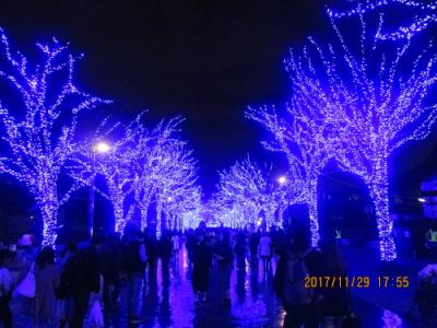青の洞窟 SHIBUYA・ライトアップ