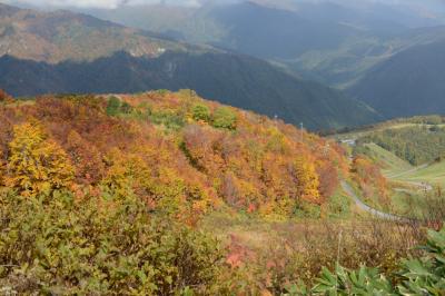 信州へのドライブ旅・その２（白馬村）