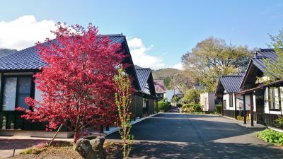 初体験、栃木の藤棚と群馬のSL (8-7) 土合駅と猿ヶ京温泉 旅籠屋丸一