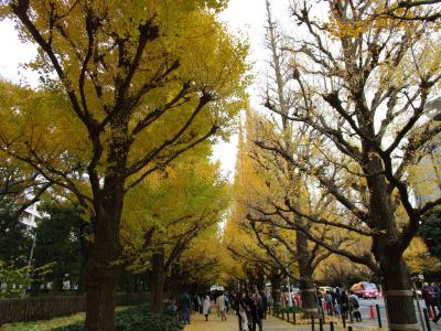 東京散歩・神宮外苑イチョウ並木