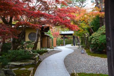 錦秋の京都　今年初公開　淨住寺と嵐山宝厳院