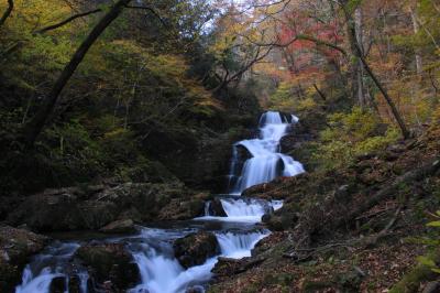 ◆禁断の戸草川渓谷・みちのく最後の紅葉/二階滝編 