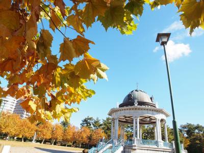 美しい紅葉を見に鶴舞公園へ　「ＳＵＲＩＰＵ」のパン＆「ＷｉｔＣＡＦＥ」でワインランチ　桜山駅グルメ　フィナンシェリーアッシュのフィナンシェとブレヴァンのパン　ステーキのあさくまディナー