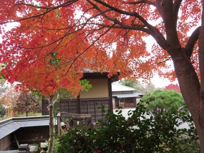 本郷ふじやま公園の紅葉