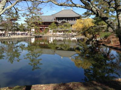 A stroll road in Nara Park!   