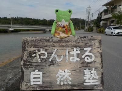 沖縄北部やんばる 命ぐすいの旅 ４