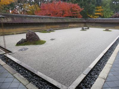 京都の紅葉ー龍安寺（今回のベストの場所）－