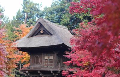 平林寺のモミジは大変鮮やかです