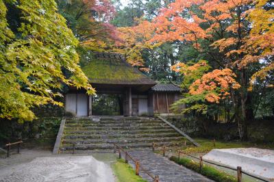 錦秋の京都　哲学の道から法然院、紅葉の季節のみ公開される安楽寺、霊鑑寺。