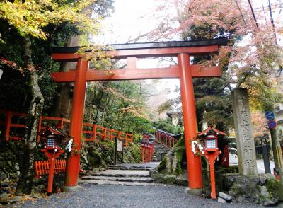 貴船～美山～花背～鞍馬の紅葉を追って！